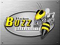 Robo-buzz.jpg